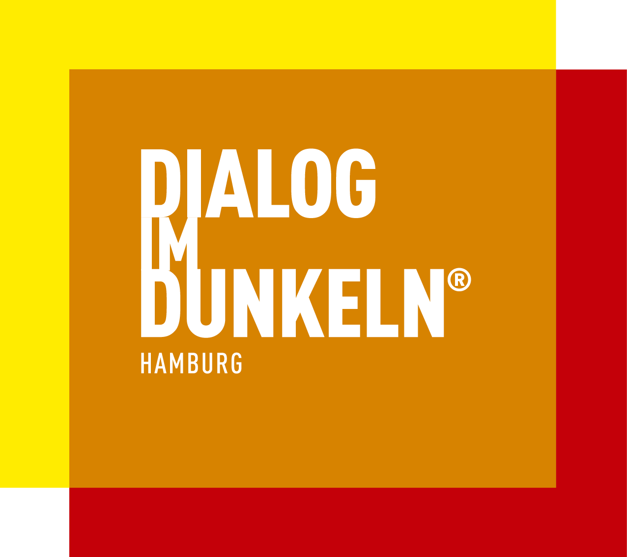 Logo "Dialog im Dunkeln".